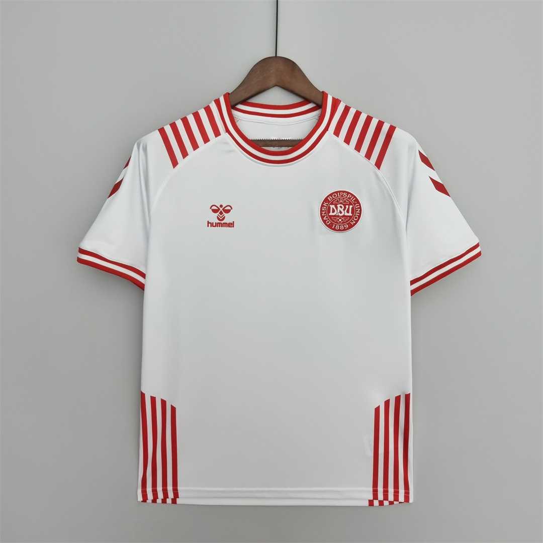 AAA Quality Denmark 21/22 Special White Soccer Jersey